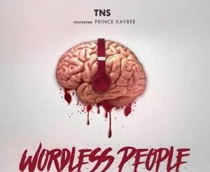 TNS, ,Wordless People, Prince Kaybee, mp3, download, datafilehost, fakaza, Gqom Beats, Gqom Songs, Gqom Music
