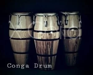 X Child, Conga Drum, mp3, download, datafilehost, fakaza, Afro House 2018, Afro House Mix, Deep House Mix, DJ Mix, Deep House, Deep House Music, Afro House Music, House Music, Gqom Beats, Gqom Songs