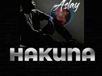 Aslay, Hakuna, mp3, download, datafilehost, toxicwap, fakaza