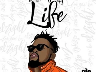 Bigstar, Time Of My Life, mp3, download, datafilehost, toxicwap, fakaza