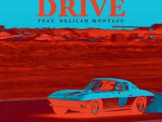 Black Coffee, Drive, David Guetta, Delilah Montagu, mp3, download, datafilehost, fakaza, Afro House 2018, Afro House Mix, Afro House Music