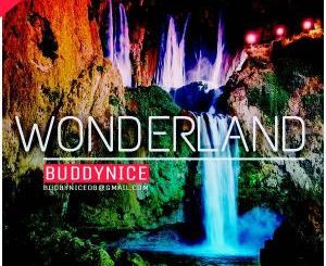Buddynice, Wonderland, Redemial Mix, mp3, download, datafilehost, fakaza, Afro House 2018, Afro House Mix, Afro House Music