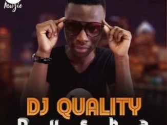 DJ Quality, Dusha, Muvo De Icon, Zolan G, Portia Da King, mp3, download, datafilehost, fakaza, Afro House 2018, Afro House Mix, Afro House Music