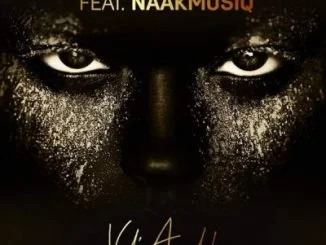 DJ Thakzin, NaakMusiQ, Vul’amehlo, mp3, download, datafilehost, fakaza, Gqom Beats, Gqom Songs, Gqom Music