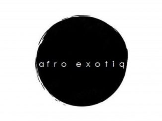 De Major, Lizwi, Traveller (Afro Exotiq’s Dub) [Bootleg], mp3, download, datafilehost, fakaza, Afro House 2018, Afro House Mix, Afro House Music