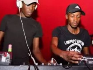 DeMajor, Traveller, Limpopo Rhythm, Remix, Lizwi, mp3, download, datafilehost, fakaza, Afro House 2018, Afro House Mix, Afro House Music