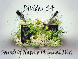 DjVidas SA, Sounds Of Nature (Original Mix), mp3, download, datafilehost, fakaza, Afro House 2018, Afro House Mix, Afro House Music