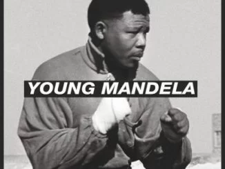 DreamTeam, Young Mandela, mp3, download, datafilehost, toxicwap, fakaza