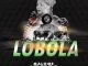 Malome Vector, Lobola, Mj Elphy, mp3, download, datafilehost, fakaza, Gqom Beats, Gqom Songs, Gqom Music