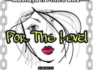 Mashaya, Prince Ak2 , For The Level, mp3, download, datafilehost, toxicwap, fakaza