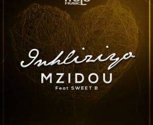 Mzidou, Inhliziyo, Sweet B, mp3, download, datafilehost, fakaza, Afro House 2018, Afro House Mix, Afro House Music