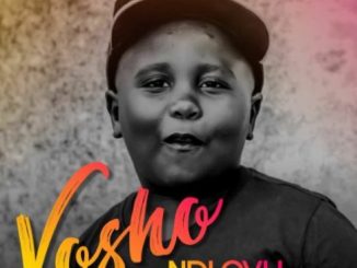 Ndlovu, Vosho ,Marrest, mp3, download, datafilehost, fakaza, Afro House 2018, Afro House Mix, Afro House Music