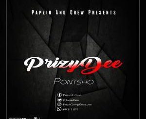 PrizyDee, Ancestral Voices (Afro Tech Mix), mp3, download, datafilehost, fakaza, Afro House 2018, Afro House Mix, Afro House Music