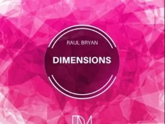 Raul Bryan, Intuition (Original Mix), mp3, download, datafilehost, fakaza, Afro House 2018, Afro House Mix, Afro House Music