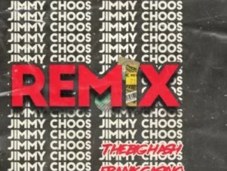 The Big Hash, Frank Casino, Jimmy Choos Remix, mp3, download, datafilehost, toxicwap, fakaza