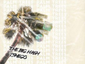 The Big Hash, Tshego, Palm Trees, mp3, download, datafilehost, toxicwap, fakaza