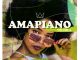 Various Artists, AmaPiano Volume 3, AmaPiano, download ,zip, zippyshare, fakaza, EP, datafilehost, album, Afro House 2018, Afro House Mix, Afro House Music, Deep House Mix, Deep House, Deep House Music, House Music
