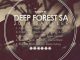 Various Artists, Deepforestsa 2014 Sampler, Deepforest, download ,zip, zippyshare, fakaza, EP, datafilehost, album, Afro House 2018, Afro House Mix, Afro House Music, Deep House Mix, Deep House, Deep House Music, House Music