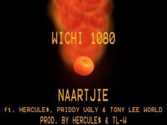 Wichi 1080, Naartjie, Priddy Ugly , Hercule$, Tony Lee WORLD, mp3, download, datafilehost, toxicwap, fakaza
