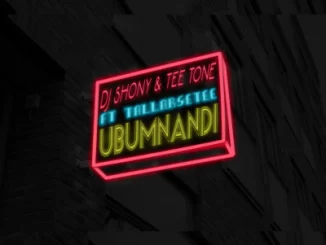 DJ Shony, Ubumnandi, TallArseTee, mp3, download, datafilehost, fakaza, Afro House 2018, Afro House Mix, Afro House Music