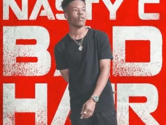 Nasty C, UOK, mp3, download, datafilehost, toxicwap, fakaza