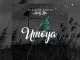 Afrikan Roots, uMoya, Andy Boi, mp3, download, datafilehost, fakaza, Afro House 2018, Afro House Mix, Afro House Music, House Music