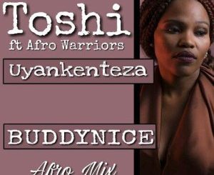Afro Warriors, Uyankenteza (Buddynice Afro Drum Remix), Toshi, Buddynice, mp3, download, datafilehost, fakaza, Afro House 2018, Afro House Mix, Afro House Music, House Music
