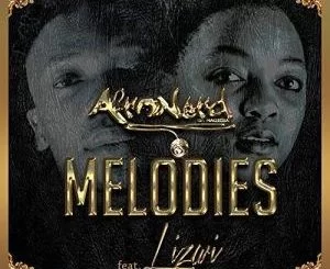 Afronerd, Melodies, Lizwi, mp3, download, datafilehost, fakaza, Afro House 2018, Afro House Mix, Afro House Music, House Music