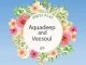 Aquadeep, Veesoul, Take Over (Original Mix), mp3, download, datafilehost, fakaza, Deep House Mix, Deep House, Deep House Music, House Music