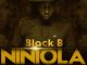Black B, Niniola, House Mix, Niniola House Mix, mp3, download, datafilehost, fakaza, Afro House 2018, Afro House Mix, Afro House Music