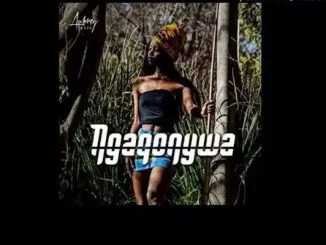 Blaq Diamond, Ngaqonywa, mp3, download, datafilehost, toxicwap, fakaza