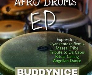 Buddynice, Expressions (Original Mix), mp3, download, datafilehost, fakaza, Afro House 2018, Afro House Mix, Afro House Music, House Music