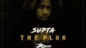 DJ Supta, Moozlie, Thwenny Twenny, Rouge, Vava Deceptikon, The Plug Remix, mp3, download, datafilehost, toxicwap, fakaza