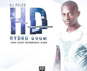 Dj Pelco, Hydro Gqom, download ,zip, zippyshare, fakaza, EP, datafilehost, album, Gqom Beats, Gqom Songs, Gqom Music