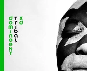 Domineeky, Back To House Xd (Original Mix), mp3, download, datafilehost, fakaza, Afro House 2018, Afro House Mix, Afro House Music, House Music