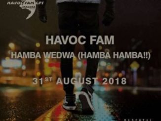 Havoc Fam, Hamba Wedwa, mp3, download, datafilehost, fakaza, Afro House 2018, Afro House Mix, Afro House Music, House Music