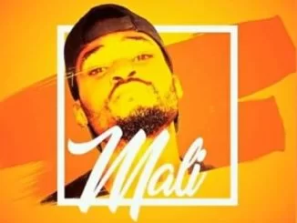 Mangoli, Mali, Beat Movement, Mumba K, mp3, download, datafilehost, fakaza, Afro House 2018, Afro House Mix, Afro House Music