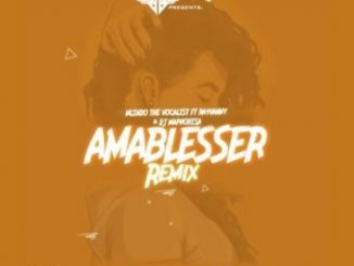 Mlindo The Vocalist, Amablesser (Remix), Rayvanny, DJ Maphorisa, mp3, download, datafilehost, fakaza, Afro House 2018, Afro House Mix, Afro House Music, House Music