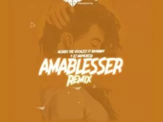 Mlindo The Vocalist, Amablesser (Remix), Rayvanny, DJ Maphorisa, mp3, download, datafilehost, fakaza, Afro House 2018, Afro House Mix, Afro House Music, House Music