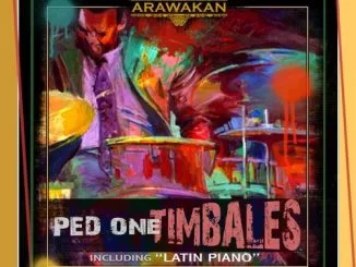 Ped One, Timbales, download ,zip, zippyshare, fakaza, EP, datafilehost, album, Afro House 2018, Afro House Mix, Afro House Music