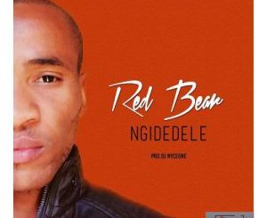 Red Bear, Ngidedele (Original Mix), mp3, download, datafilehost, fakaza, Afro House 2018, Afro House Mix, Afro House Music