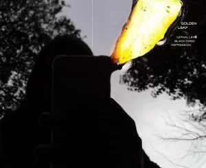 Thabo Tonick, Golden Leaf, download ,zip, zippyshare, fakaza, EP, datafilehost, album, Afro House 2018, Afro House Mix, Afro House Music, House Music