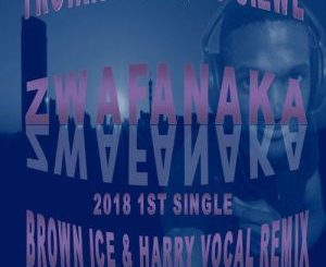 Troika Musiq, Zwafanaka ,Brown Ice, Harry, Remix, Sizwe, mp3, download, datafilehost, fakaza, Afro House 2018, Afro House Mix, Afro House Music