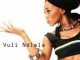 Brenda Fassie, Vulindlela, mp3, download, datafilehost, fakaza, Kwaito Songs, Kwaito, Kwaito Mix, Kwaito Music, Kwaito Classics