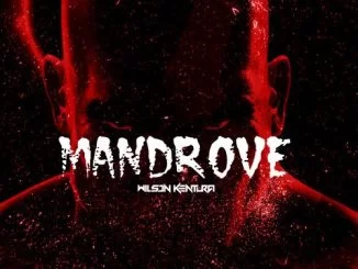 Wilson Kentura, Mandrove (Original), mp3, download, datafilehost, fakaza, Afro House 2018, Afro House Mix, Afro House Music, House Music