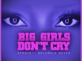 2PM DJs, Big Girls Don’t Cry, Nhalnhla Nciza, mp3, download, datafilehost, toxicwap, fakaza