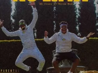 AB Crazy, No Limit, Nicom Muza, mp3, download, datafilehost, fakaza, Hiphop, Hip hop music, Hip Hop Songs, Hip Hop Mix, Hip Hop, Rap, Rap Music