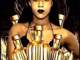 Asambeni, Zintle Kwaaiman, Mbizeni, mp3, download, datafilehost, fakaza, Afro House 2018, Afro House Mix, Afro House Music, House Music