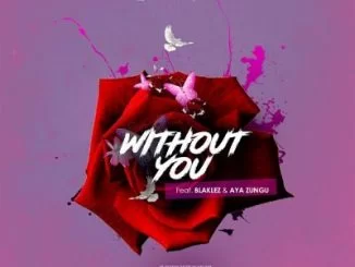 Beatmochini, Without You, Blaklez, Aya Zungu, mp3, download, datafilehost, fakaza, Hiphop, Hip hop music, Hip Hop Songs, Hip Hop Mix, Hip Hop, Rap, Rap Music