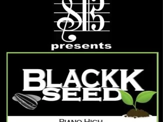 BlackkSeed, Piano High, download ,zip, zippyshare, fakaza, EP, datafilehost, album, Afro House 2018, Afro House Mix, Afro House Music, House Music